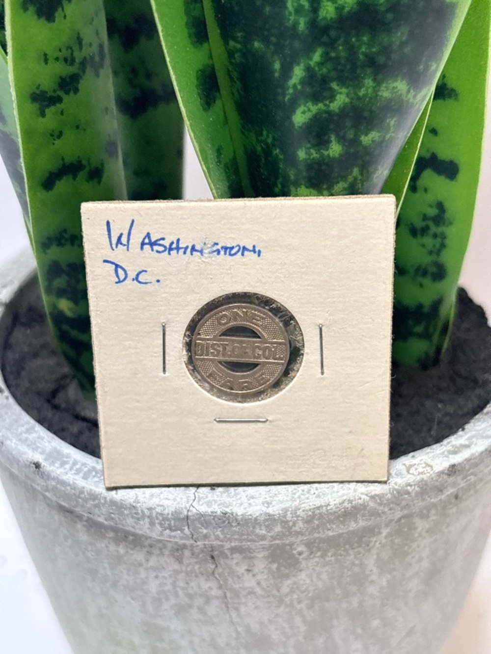 FREE ADD-ON | Vintage Washington D.C. Transit Token in Protective Holder
